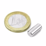 Stangmagnet 6x13 mm
