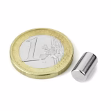 Stangmagnet 6x10 mm