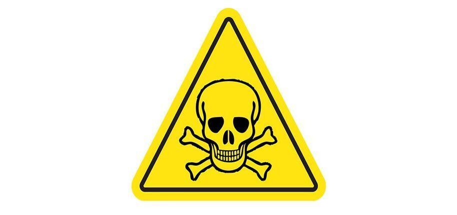 Er magneter giftige?