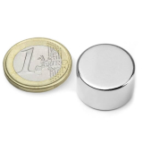 Disc magnet 20x12 mm