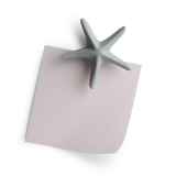 Qualy Sea Star Magnet