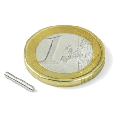 Disc magnet 1