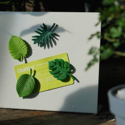 Tropical Magnets (4 pcs)