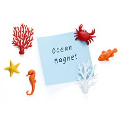 Ocean Ecology Magnets 6 pieces