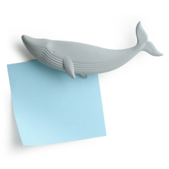 Magnetic blue whale