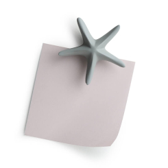 Qualy Sea Star Magnet