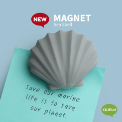 Sea Shell Magnet
