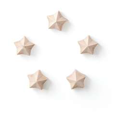 Auriga magnets