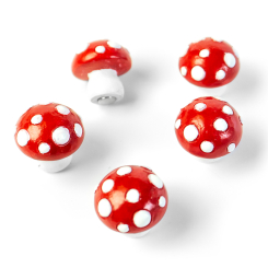 Mushroom Magnets 5 pieces