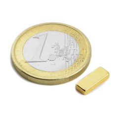 Blokmagnet guld 10x4x2 mm