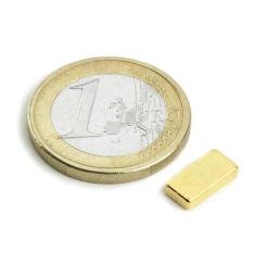 Blokmagnet guld 10x5x2 mm