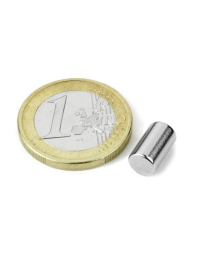 Neodym stangmagnet, 6x10 mm