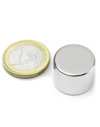 Skivemagnet 20x15 mm